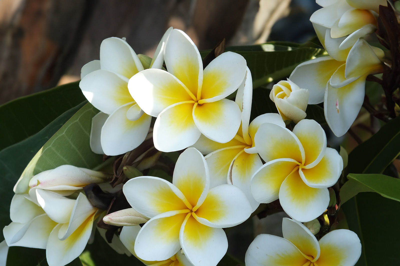 Über unser Studio in Frankfurt am Main